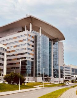 Клик увеличить фото n311392025125683036n.jpg